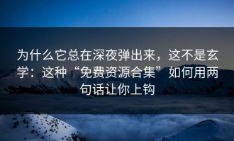 为什么它总在深夜弹出来，这不是玄学：这种“免费资源合集”如何用两句话让你上钩