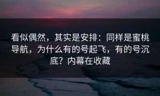 看似偶然，其实是安排：同样是蜜桃导航，为什么有的号起飞，有的号沉底？内幕在收藏