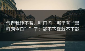 气得我睡不着，别再问“哪里有“黑料网今日””了：能不下载就不下载