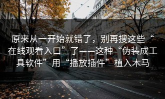 原来从一开始就错了，别再搜这些“在线观看入口”了——这种“伪装成工具软件”用“播放插件”植入木马