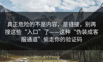 真正危险的不是内容，是链接，别再搜这些“入口”了——这种“伪装成客服通道”偷走你的验证码