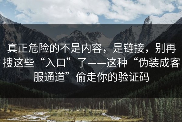 真正危险的不是内容，是链接，别再搜这些“入口”了——这种“伪装成客服通道”偷走你的验证码