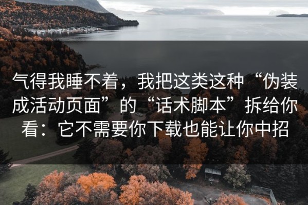 气得我睡不着，我把这类这种“伪装成活动页面”的“话术脚本”拆给你看：它不需要你下载也能让你中招