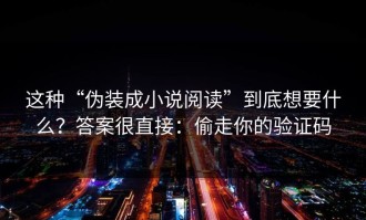 这种“伪装成小说阅读”到底想要什么？答案很直接：偷走你的验证码