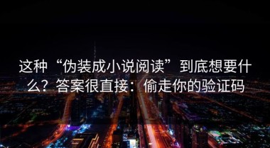 这种“伪装成小说阅读”到底想要什么？答案很直接：偷走你的验证码