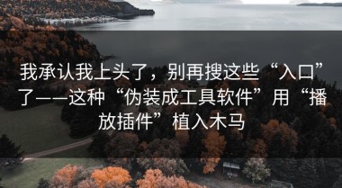 我承认我上头了，别再搜这些“入口”了——这种“伪装成工具软件”用“播放插件”植入木马