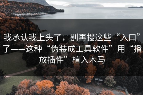 我承认我上头了，别再搜这些“入口”了——这种“伪装成工具软件”用“播放插件”植入木马