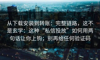 从下载安装到转账：完整链路，这不是玄学：这种“私信投放”如何用两句话让你上钩；别再给任何验证码