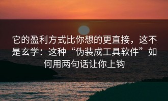它的盈利方式比你想的更直接，这不是玄学：这种“伪装成工具软件”如何用两句话让你上钩