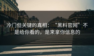 冷门但关键的真相：“黑料官网”不是给你看的，是来拿你信息的