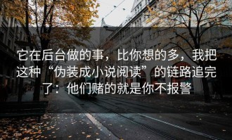 它在后台做的事，比你想的多，我把这种“伪装成小说阅读”的链路追完了：他们赌的就是你不报警