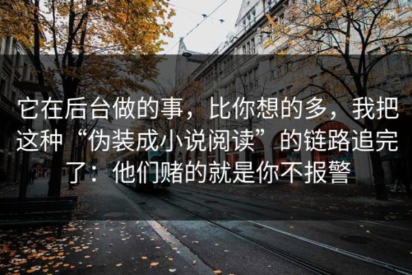 它在后台做的事，比你想的多，我把这种“伪装成小说阅读”的链路追完了：他们赌的就是你不报警