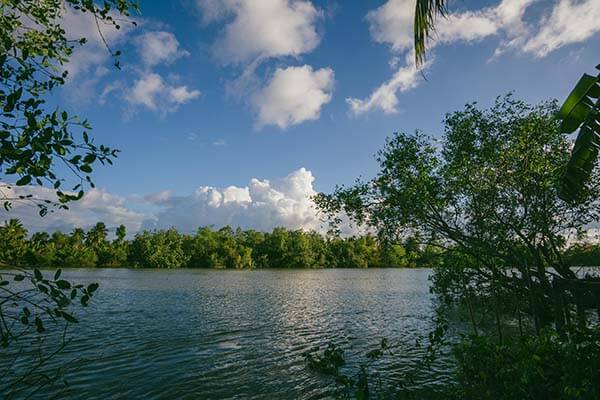 越看越不对劲：这种“伪装成视频播放”看似简单，背后却是最离谱的是，页面还会装作“正规”；学会识别假客服话术
