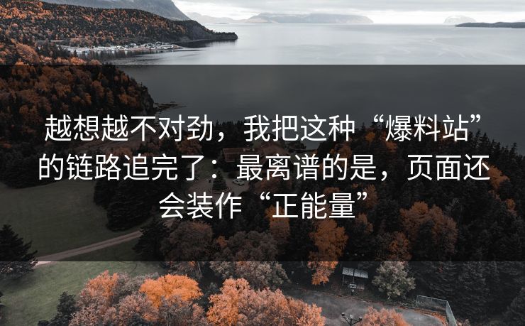 越想越不对劲，我把这种“爆料站”的链路追完了：最离谱的是，页面还会装作“正能量”