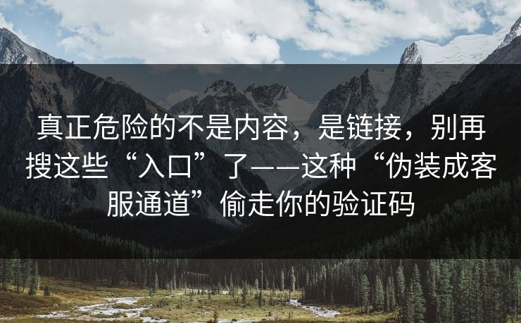 真正危险的不是内容,是链接,别再搜这些“入口”了——这种“伪装成客服通道”偷走你的验证码 真正危险的不是内容,是链接,别再搜这些“入口”了——这种“伪装成客服通道”偷走你的验证码